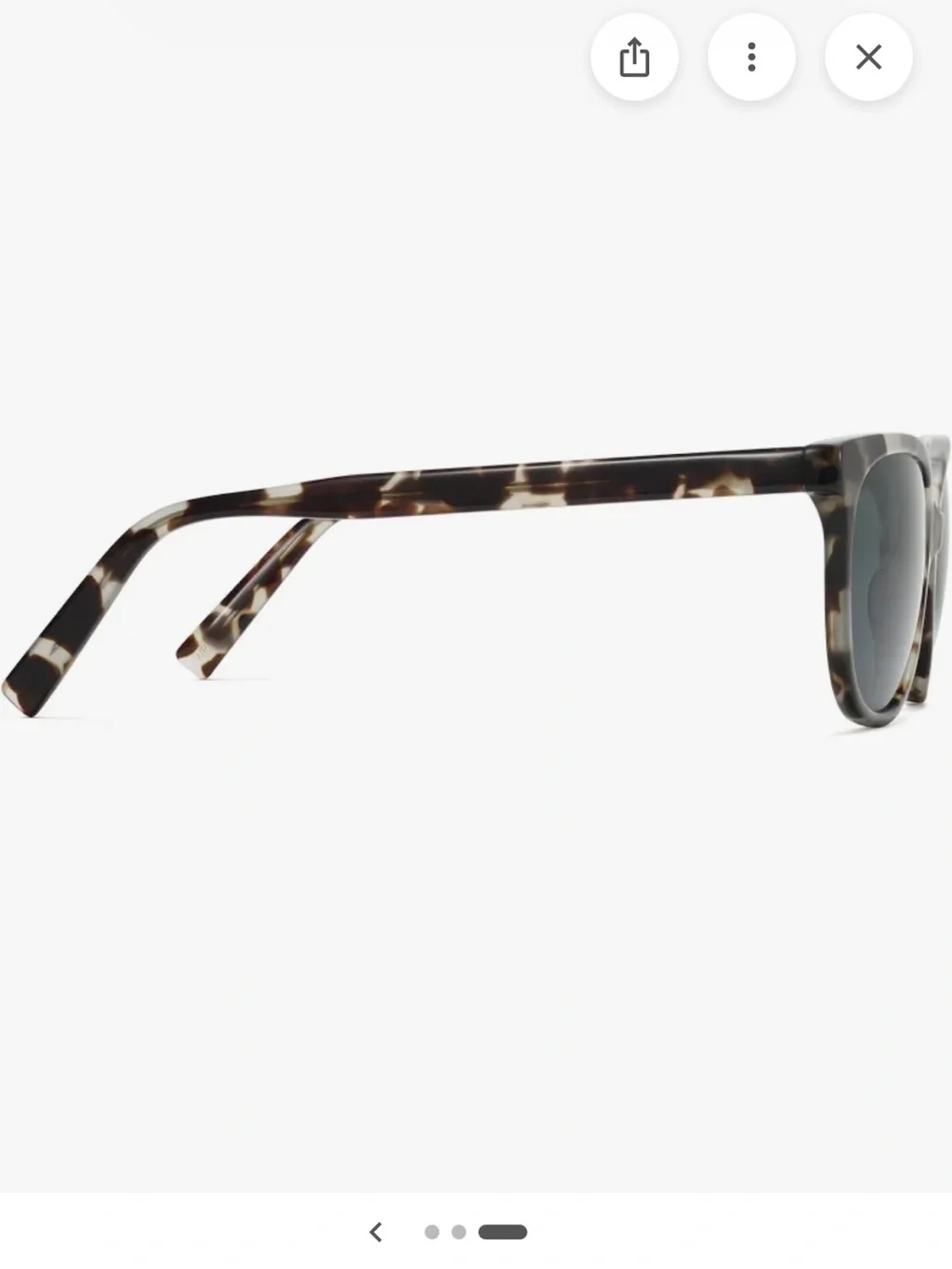 Warby Parker Raglan — Tortoiseshell Cat Eye Sunglasses with Dark Lenses